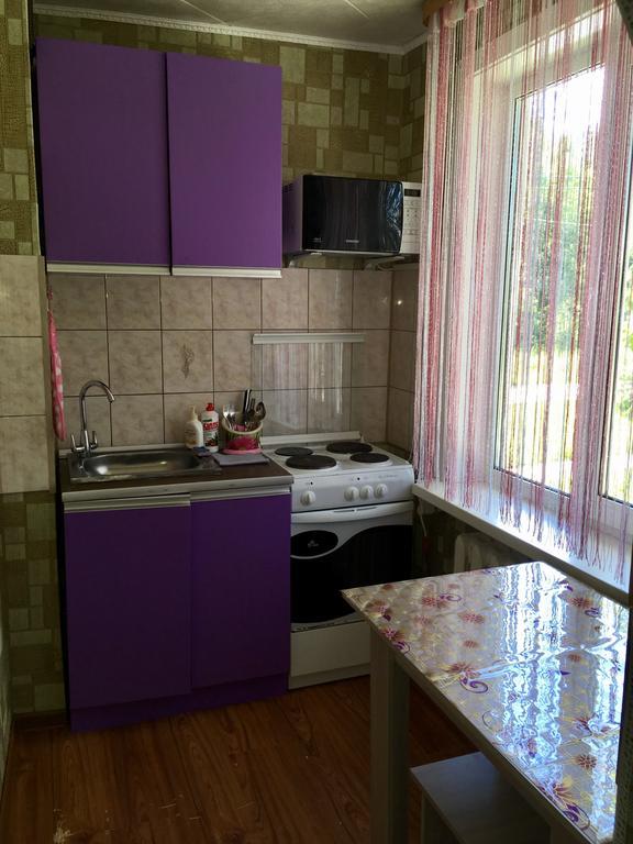 Flat For Rent Apartment Baykalsk Ngoại thất bức ảnh