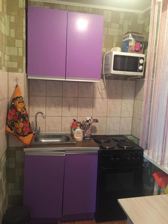 Flat For Rent Apartment Baykalsk Ngoại thất bức ảnh